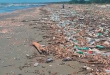 Una playa de Higuerote se llena de basura: el río Tuy estaría arrastrando toneladas de desechos (VIDEO)
