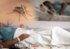 Dengue suma 11 casos en una semana y llega a 213 contagios en 2026