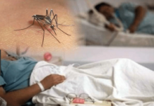 Dengue suma 11 casos en una semana y llega a 213 contagios en 2026