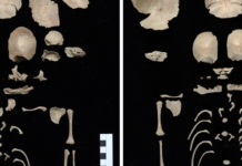 Hace 1.200 alguien decidió proteger a dos bebés gemelos escondiéndolos en un sitio inverosímil: unas letrinas al lado del Templo de Artemisa