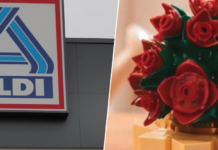 La semana que viene llegará a Aldi el set de plantas para decorar la casa. Se construye como una figura de Lego