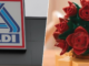 La semana que viene llegará a Aldi el set de plantas para decorar la casa. Se construye como una figura de Lego
