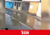 Residentes denuncian calles llenas de hoyos y aguas residuales en Santo Domingo Este