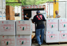Ministerio de Salud recibe más de 430 mil vacunas para reforzar la vacunación infantil en el país