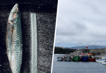 En 2001 un yate se refugió en una isla remota del Atlántico. Días después sus habitantes empanaban pescado con coca