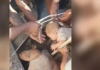 Así fue el momento en que rescataron a un bebé con vida de entre los escombros en Cali, Colombia