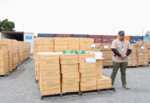 DGA y el Ministerio Público decomisan 4.5 millones de cigarrillos y 921 televisores en Caucedo