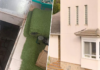 Compran una casa en un pueblo de Castellón y descubren que los antiguos dueños habían dejado una plantación de marihuana dentro