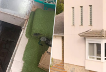 Compran una casa en un pueblo de Castellón y descubren que los antiguos dueños habían dejado una plantación de marihuana dentro