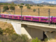 Renfe ya conoce el precio de dejar en manos de Talgo su futuro: 100.000 plazas menos en el Madrid-Valencia y más Avril parados