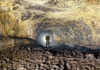 Bajo Tenerife hay un mundo que lleva 27.000 años aislado: dentro de esta cueva viven 190 especies