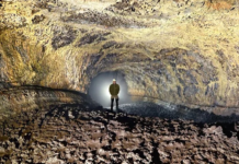 Bajo Tenerife hay un mundo que lleva 27.000 años aislado: dentro de esta cueva viven 190 especies