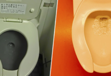El gran misterio de los WC: para qué sirve la abertura frontal en forma de 'U' que hay en los inodoros públicos