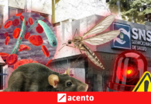 SNS activa alerta hospitalaria ante casos de leptospirosis, dengue, malaria y rabia