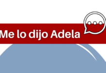 Semilla sin tierra