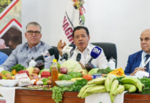 Confenagro pide mantener protección al arroz dominicano frente a las importaciones