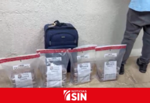 Canadiense llevaba 14 paquetes de presunta cocaína en una maleta, según la DNCD