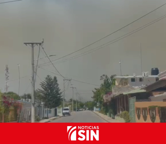 Bajo control incendio forestal en la Sierra de Bahoruco tras cinco días