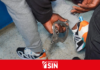 Extraditan a Estados Unidos otro dominicano acusado de tráfico de drogas y lavado de activos