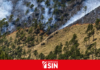 Prisión preventiva para dos hombres por deforestación en el Parque Nacional Valle Nuevo