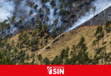 Prisión preventiva para dos hombres por deforestación en el Parque Nacional Valle Nuevo