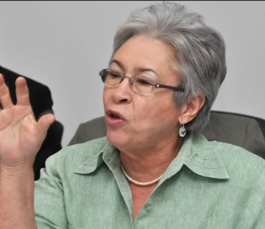 Exministra de Salud afirma cada muerte neonatal que pudo evitarse debe ser investigada sobre los factores que incidieron en las defunciones