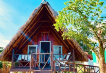 Transformaciones en el turismo cubano ganan aceptación empresarial (+ Video)