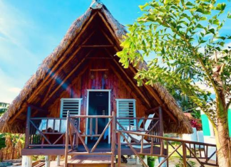 Transformaciones en el turismo cubano ganan aceptación empresarial (+ Video)