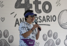CAETO, un espacio a favor de la atención emocional de los estudiantes