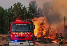 La nueva ley de incendios dice que limpies tus lindes y las de tus vecinos. El problema es que esas lindes demarcan las propiedades