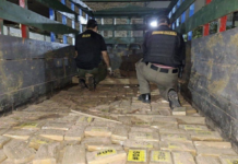 Presentaron decomiso de 520 kilos de cocaína en El Zamorano, pero análisis revela que es desparasitante
