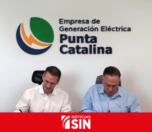 Punta Catalina instalará sistema de baterías en el SENI por US$38 millones