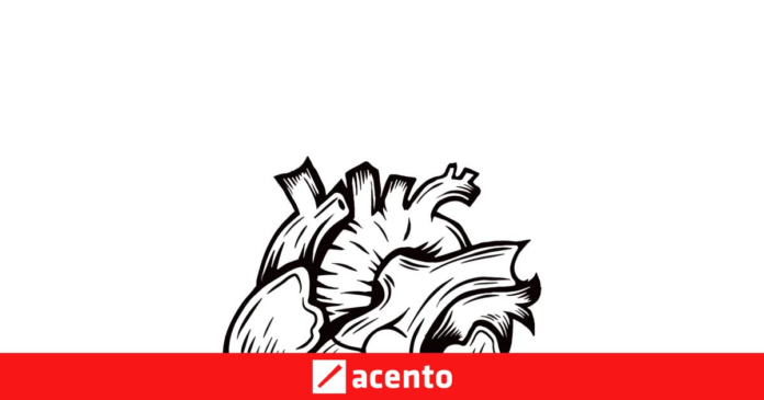 wp-header-logo-3042.png