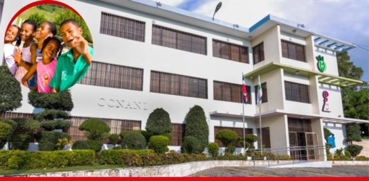GANA y Conani llaman a reforzar la protección de niños y adolescentes