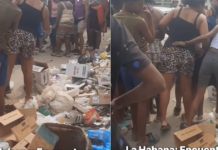 Investigan el hallazgo de dos fetos entre la basura en Centro Habana