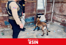 Operativos contra el microtráfico en SDE dejan 36 detenidos y más de 15,000 gramos de drogas ocupados