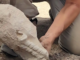 Hallan en la "Pompeya española" de Albacete la cabeza de una escultura ibérica de hace 2.400 años