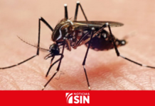RD registra una de las tasas más bajas de dengue en la región, dice Salud Pública