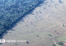 Las monumentales construcciones escondidas en la Amazonía recién descubiertas por científicos