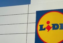 Ya en Lidl (por 12,99 euros) este aspirador de mano sin cables ideal para el escritorio, sofás o el coche