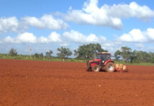 La recuperación agrícola de los campos cubanos