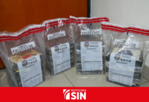Detienen a español con 20 paquetes de presunta cocaína en aeropuerto de Punta Cana