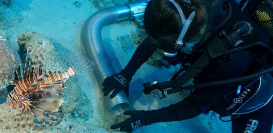 Mientras se construía la Gran Pirámide hace 4.700 años, un barco se hundía en el Mediterráneo: es el naufragio más antiguo jamás conocido