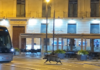 Zaragoza celebraba Pilares así que un jabalí terminó de madrugada en un bar de fiesta del casco histórico