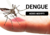 Registran 922 casos de dengue; la mitad de los pacientes fueron hospitalizados