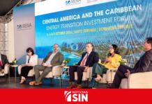 ETED presenta planes de modernización y expansión eléctrica en foro internacional de IRENA
