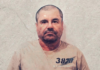 ¿Dónde ver el documental de El Chapo Guzmán? Operación Cisne Negro revela detalles de su captura