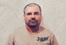 ¿Dónde ver el documental de El Chapo Guzmán? Operación Cisne Negro revela detalles de su captura
