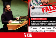 MIREX aclara que mensaje atribuido a Bukele contra República Dominicana es falso