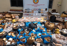 Decomisan casi 77 mil puros y 2,549 botellas de mamajuana en Higüey y La Otra Banda